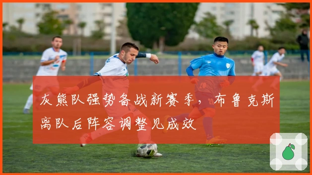 灰熊队强势备战新赛季，布鲁克斯离队后阵容调整见成效