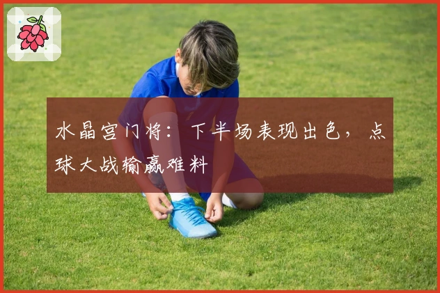 水晶宫门将：下半场表现出色，点球大战输赢难料