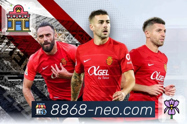 安全与专业的双重保障